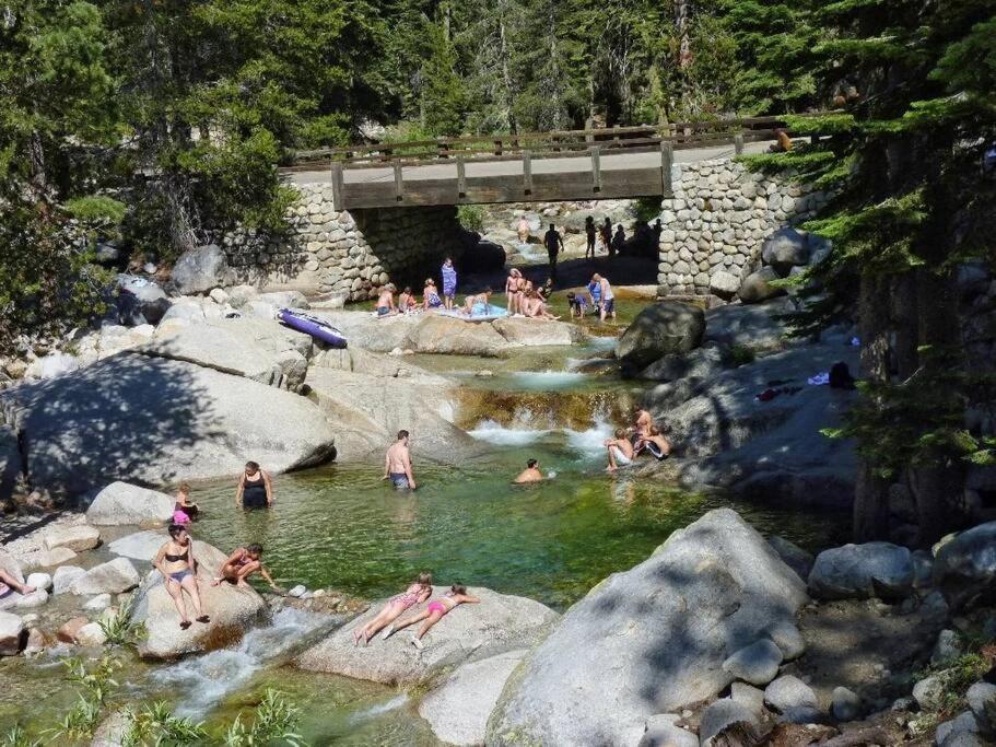 Sequoia By The River Three Rivers