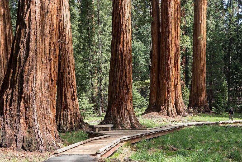 Holiday home Sequoia By The River
