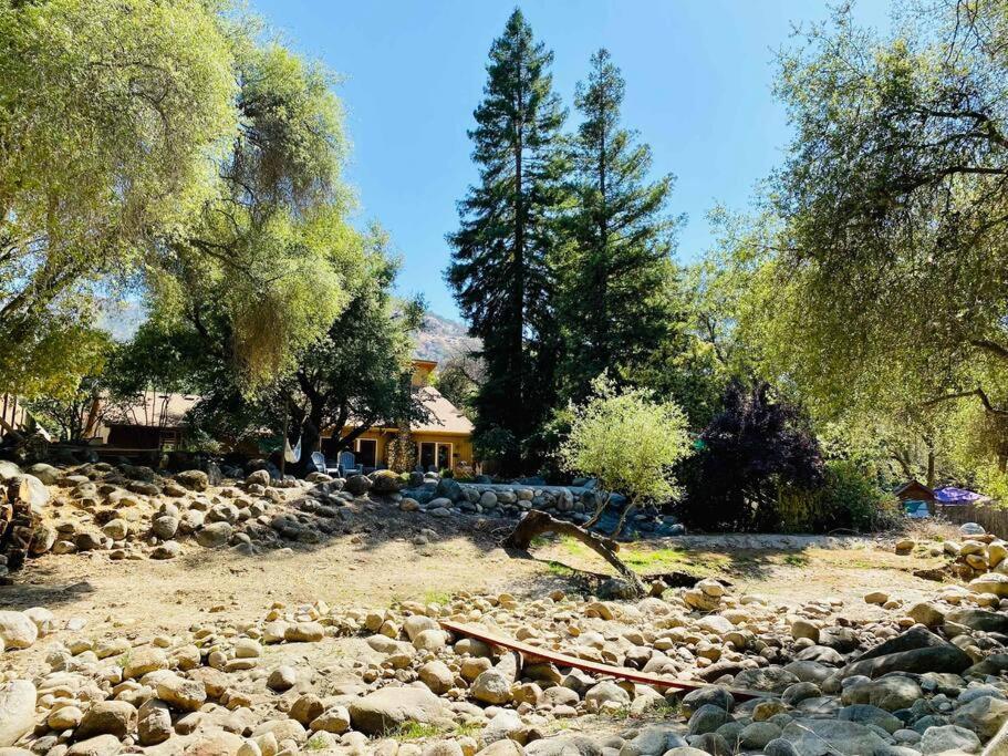 Sequoia By The River
