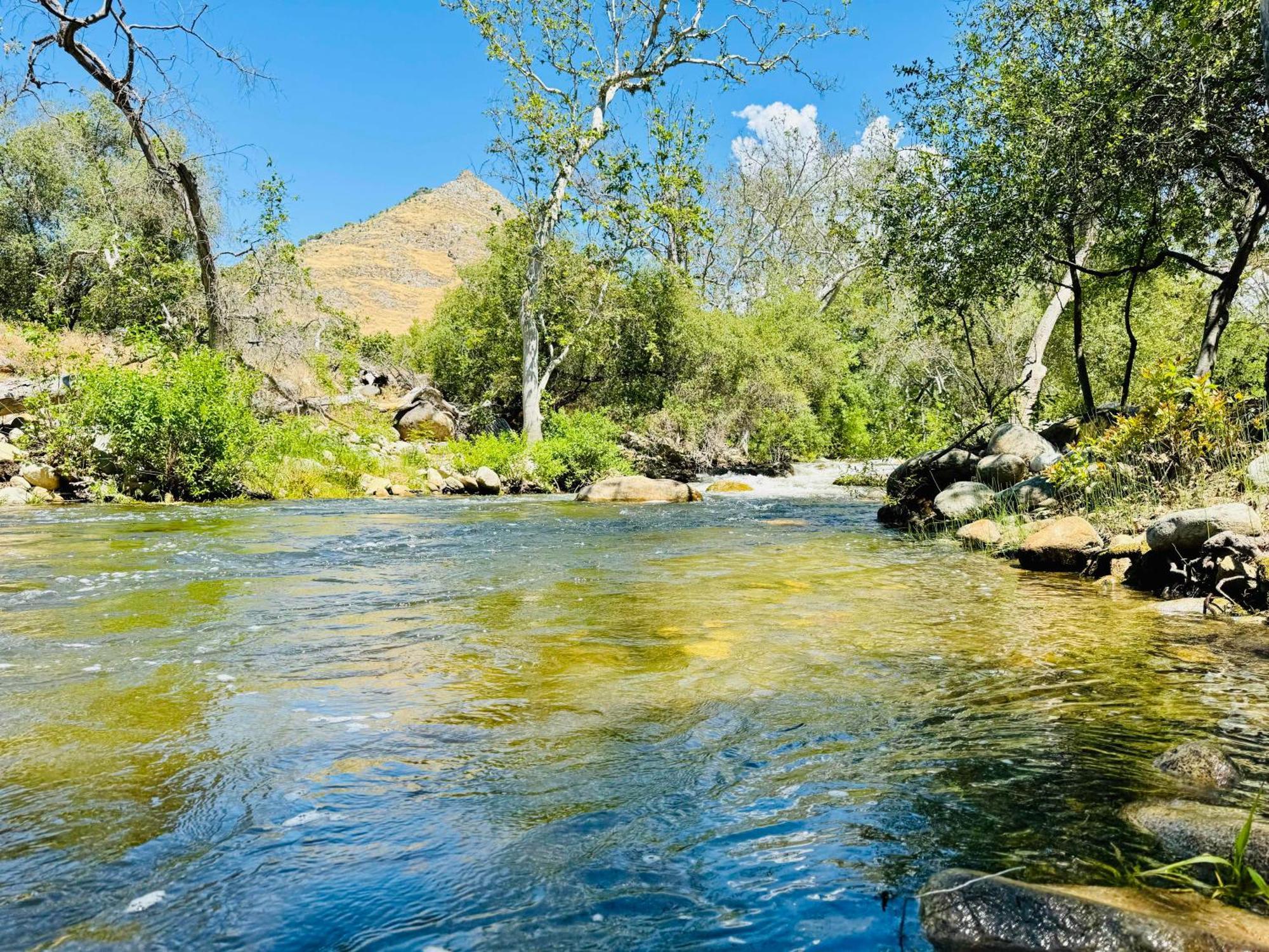 Sequoia By The River * Three Rivers